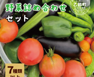 丘の風ファーム 野菜詰め合わせセットの受付を開始しました!